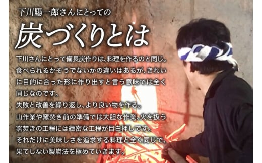 備長炭 緑仙白炭窯 日向備長炭 バーベキュー 用 2.5kg [グリーンノーム 宮崎県 美郷町 31ar0006] 炭 燃料 BBQ アウトドア 燻製 白炭