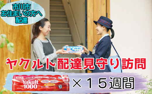 ＜市川市内の訪問限定＞ヤクルト配達見守り訪問(15週間／Yakult1000　105本)　【12203-0185】