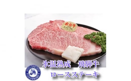 【3ヵ月毎定期便】氷温（R）熟成飛騨牛セット　全4回 [No.902] ／ お肉 冷凍 旨み 岐阜県