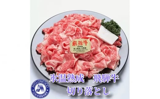 【3ヵ月毎定期便】氷温（R）熟成飛騨牛セット　全4回 [No.902] ／ お肉 冷凍 旨み 岐阜県