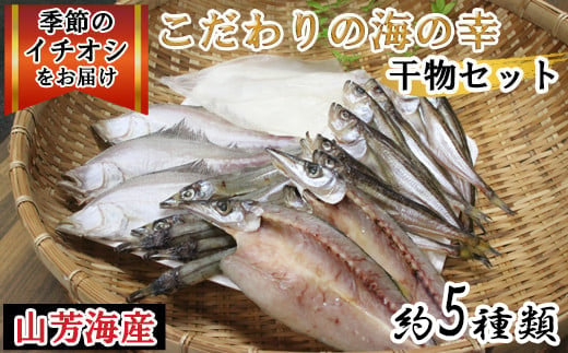 旬の美味しい鮮魚を厳選してセットにします