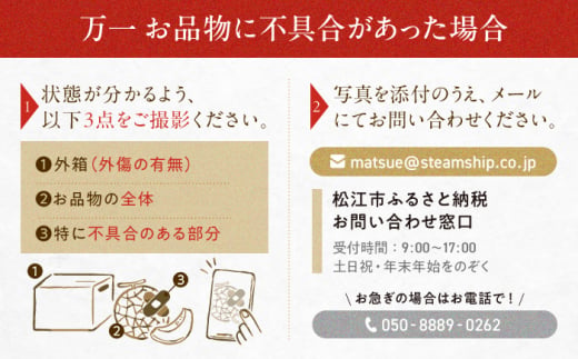 昔なつかしい ゆでソフトスパゲティめん 15食入り 島根県松江市/株式会社なかたか [ALBQ002]