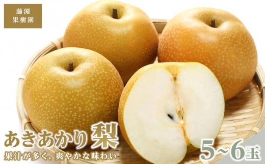 藤渕果樹園のあきあかり梨（1）【5～6玉入り】【フルーツ 果物 くだもの 食品 人気 おすすめ 送料無料】