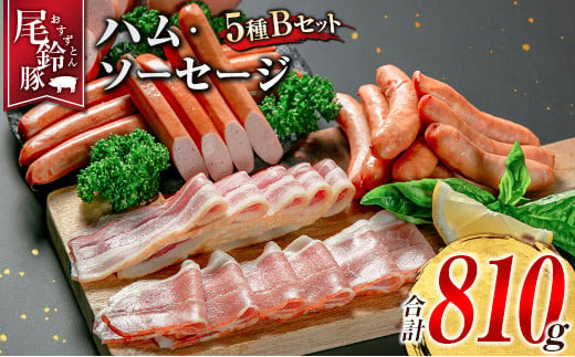 【PREMIUM PORK】 尾鈴豚 ハム ソーセージ 詰め合わせ 合計810g 5種 Bセット 宮崎県産