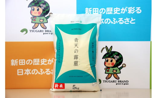 [新米] 令和6年産 青森県 つがる市産米 青天の霹靂 5kg (精米)｜お米 米 こめ 白米 青天のへきれき 2024年 [0724]