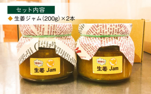 手づくり生姜ジャム 大瓶2本セット  自家製 愛知県産 手作り 愛西市/しょうがやさん [AEAO002]