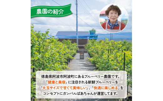 ブルーベリー  1kg 大粒 果物 フルーツ 採れたて 新鮮 果肉 果実 美容 健康 ジャム スイーツ ケーキ 徳島 阿波市