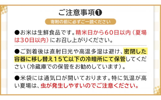 令和6年産 茨城県産 玄米 コシヒカリ 10kg （5kg×2袋） 新米 清米 キヨシマイ こしひかり 米 コメ こめ 単一米 限定 茨城県産 国産 美味しい お米 おこめ おコメ