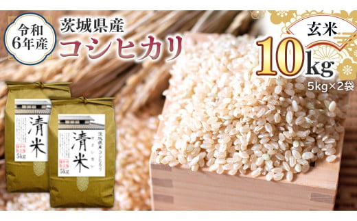 令和6年産 茨城県産 玄米 コシヒカリ 10kg （5kg×2袋） 新米 清米 キヨシマイ こしひかり 米 コメ こめ 単一米 限定 茨城県産 国産 美味しい お米 おこめ おコメ