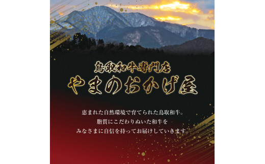 ５５２．【お歳暮　のし付】鳥取和牛　5つの部位の焼肉盛り合わせ　八角箱入り　500g×2パック