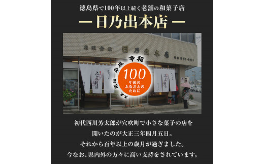 ぶどう饅頭 2種セット 8袋入り 有限会社日乃出本店 《30日以内に出荷予定(土日祝除く)》 徳島県 阿波 ブドウ 饅頭 飴 自家製あん プレーン 季節限定品老舗 和菓子 剣山 穴吹川 贈り物 衛生的 個包装 環境保護 品質保持
