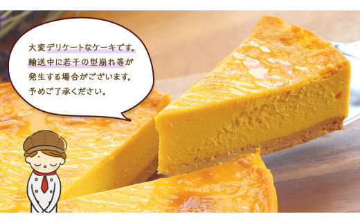 パンプキン チーズケーキ 6号 × 1個 ホールケーキ 冷蔵 スイーツ デザート お菓子 洋菓子 ケーキ 焼き菓子 かぼちゃ 南瓜 チーズ しっとり 老舗 洋菓子店 ハロウィン