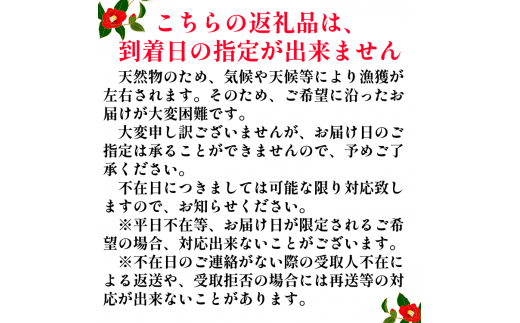 【先行予約】土佐清水産天然ぶり まるごと１本（5kg～8kg）下処理あり（内臓除去済）【令和7年3月以降発送※着日指定不可※】 鮮魚 鰤 ブリ ぶり大根 刺身 ぶりしゃぶ 天然【R00874】