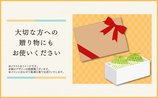 【先行予約】アールスメロン (2玉入り) ｜ メロン アールスメロン 果物 果実 ジューシー 果肉 くだもの フルーツ 山口県 美祢市 美祢 特産品 2玉 贈答 お中元 先行予約 期間限定 季節限定
