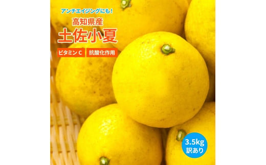 先行予約 訳あり 小夏3.5キロ（白浜農園の減農薬小夏）～訳ありには、訳がある～ 柑橘 みかん フルーツ 日向夏 果物 ワケあり 傷 訳 家庭用 自宅用 特産【R01152】