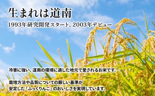 【新米発送・定期便 6カ月】知内産 ふっくりんこ10㎏×6回　JA新はこだて【定期便・頒布会特集】