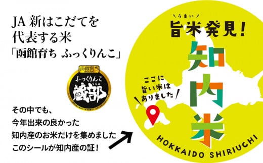 【新米発送・定期便 6カ月】知内産 ふっくりんこ10㎏×6回　JA新はこだて【定期便・頒布会特集】