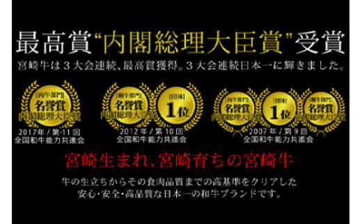 【12月1日までの入金で年内発送可能】＜宮崎牛ロースステーキ100g×2枚＞3か月以内に順次出荷