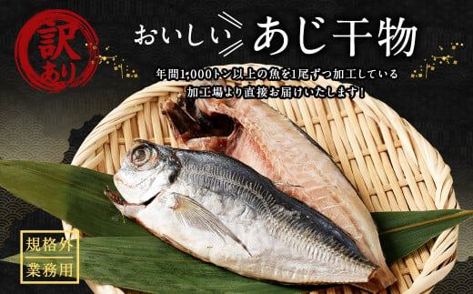 【訳あり規格外】  業務用 あじ 干物 1kg