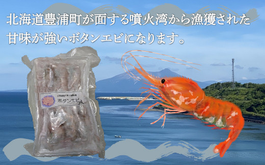 冷凍ボタンエビ 中サイズ 400g（17～20尾）×2パック 北海道 噴火湾産 【 ふるさと納税 人気 おすすめ ランキング 魚介類 えび 海老 牡丹海老 ボタンエビ おいしい 美味しい 新鮮 北海道 豊浦町 送料無料 】 TYUR045