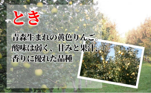 [№5554-0126]10月発送 贈答用 葉取らずとき 約5kg【特選】【鶴翔りんごGAP部会 青森県産 津軽産 リンゴ 林檎】