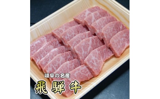 『希少部位』A5等級飛騨牛三角バラ焼肉用300g【1432029】