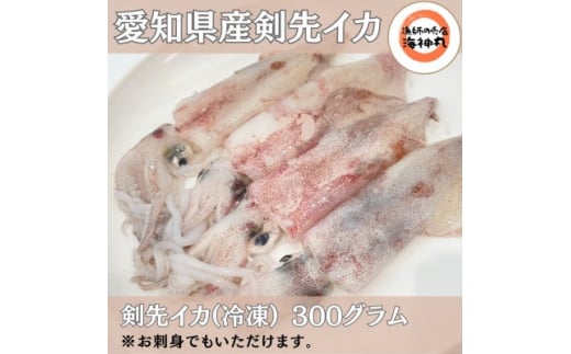 剣先イカ(アカイカ)2袋 小分け 冷凍 刺身 ケンサキイカ ふらい にもの みなみちたちょう いか 料理 おかず 天ぷら フライ 煮物 いか 南知多剣先いか 焼きそば お好み焼き 炒め物 いか 愛知県ケンサキイカ 愛知県 てんぷら いか いか飯 いか焼き ふるさと納税イカ いか 剣先いか南知多町 愛知県産 アカイカ南知多町 人気 おすすめ