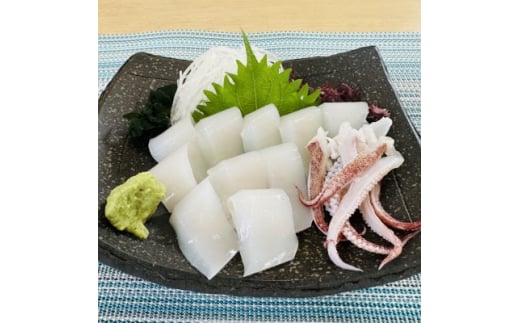 剣先イカ(アカイカ)2袋 小分け 冷凍 刺身 ケンサキイカ ふらい にもの みなみちたちょう いか 料理 おかず 天ぷら フライ 煮物 いか 南知多剣先いか 焼きそば お好み焼き 炒め物 いか 愛知県ケンサキイカ 愛知県 てんぷら いか いか飯 いか焼き ふるさと納税イカ いか 剣先いか南知多町 愛知県産 アカイカ南知多町 人気 おすすめ