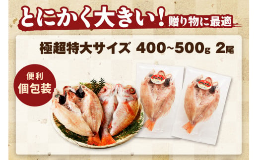 大秀商店の「のどぐろ一夜干し（極超特大）」（2尾入り） 魚介 魚 一夜干し 干物 のどぐろ 特大 加工品 2尾 アカムツ 【1202】