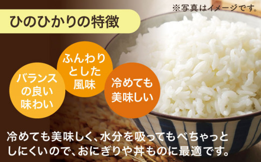 【人気なお米を食べ比べ】長崎県産 米 3種（ひのひかり・なつほのか・つや姫） 計15kg （各種5kg×1袋）【ながさき西海農業協同組合】 [QAZ009]