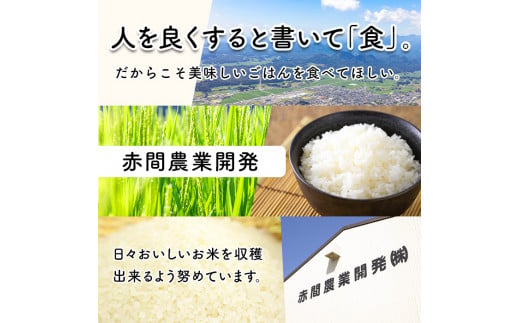 ＜6か月定期便＞ひとめぼれ 60kg お米 おこめ 米 コメ 白米 ご飯 ごはん おにぎり お弁当 宮城産 頒布会【赤間農業開発株式会社】ta301