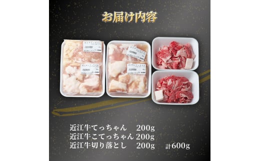 近江牛 モツ鍋 セット 600g 冷凍 ( 近江牛 もつ 鍋 切り落とし もつ鍋 てっちゃん こてっちゃん 和牛 黒毛和牛 ブランド和牛 近江牛 牛肉 三大和牛 近江牛  近江牛 贈り物 ギフト 国産 近江牛 滋賀県 近江牛 竜王町 近江牛 岡喜 近江牛 神戸牛 松阪牛 に並ぶ 日本三大和牛 ふるさと納税 )