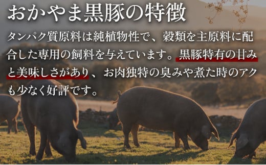 肉たっぷり 岡山焼売 晴れの国で育った黒豚焼売 8個入り（280g）×6パック