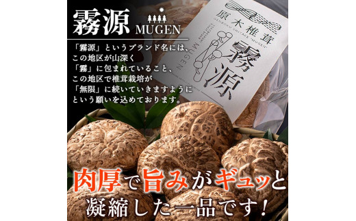 ブランド原木椎茸「霧源（MUGEN）」乾燥約150g（5〜8枚）ご家庭用