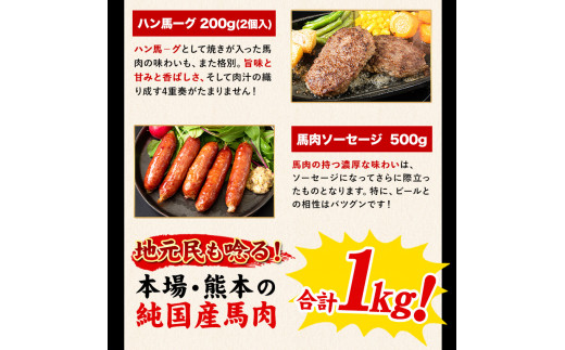 純国産馬刺し＆馬肉料理福袋 計1kg 《90日以内に出荷予定(土日祝除く)》 熊本肥育 2年連続農林水産大臣賞受賞 送料無料 上赤身馬刺し100g たてがみ50g 馬とろ150g 馬ソーセージ500g 燻製 霜降り ハン馬ーグ200g(2個入り) タレ付き 熊本県氷川町