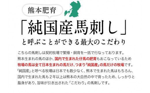 純国産馬刺し＆馬肉料理福袋 計1kg 《90日以内に出荷予定(土日祝除く)》 熊本肥育 2年連続農林水産大臣賞受賞 送料無料 上赤身馬刺し100g たてがみ50g 馬とろ150g 馬ソーセージ500g 燻製 霜降り ハン馬ーグ200g(2個入り) タレ付き 熊本県氷川町