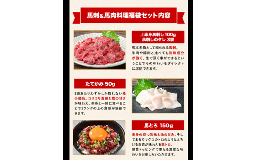 純国産馬刺し＆馬肉料理福袋 計1kg 《90日以内に出荷予定(土日祝除く)》 熊本肥育 2年連続農林水産大臣賞受賞 送料無料 上赤身馬刺し100g たてがみ50g 馬とろ150g 馬ソーセージ500g 燻製 霜降り ハン馬ーグ200g(2個入り) タレ付き 熊本県氷川町