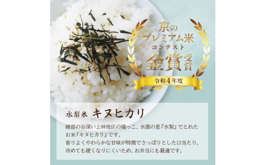 京都府産 キヌヒカリ3kg ＆ ふりかけ(あやべ緑茶塩、あやべ緑茶ふりかけ) のセット【 綾部 京都 米 キヌヒカリ きぬひかり 3kg 精米 産地直送 国産 詰め合わせ セット お米セット ふりかけ 緑茶塩 琴引の塩 】