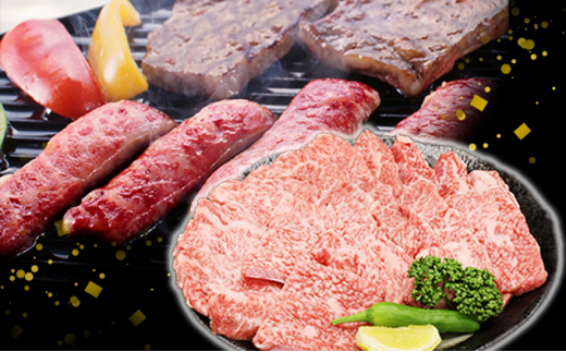 飛騨牛 焼肉 もも肉 赤身  500g A5 和牛 牛肉 ブランド牛 お肉 霜降り モモ モモ肉 焼肉用 バーベキュー BBQ キャンプ アウトドア  炭火