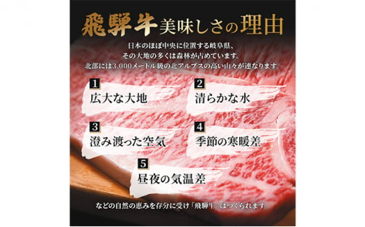 飛騨牛 焼肉 もも肉 赤身  500g A5 和牛 牛肉 ブランド牛 お肉 霜降り モモ モモ肉 焼肉用 バーベキュー BBQ キャンプ アウトドア  炭火