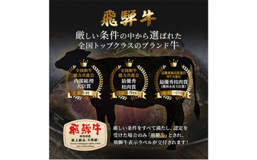 飛騨牛 焼肉 もも肉 赤身  500g A5 和牛 牛肉 ブランド牛 お肉 霜降り モモ モモ肉 焼肉用 バーベキュー BBQ キャンプ アウトドア  炭火