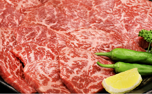 飛騨牛 焼肉 もも肉 赤身  500g A5 和牛 牛肉 ブランド牛 お肉 霜降り モモ モモ肉 焼肉用 バーベキュー BBQ キャンプ アウトドア  炭火