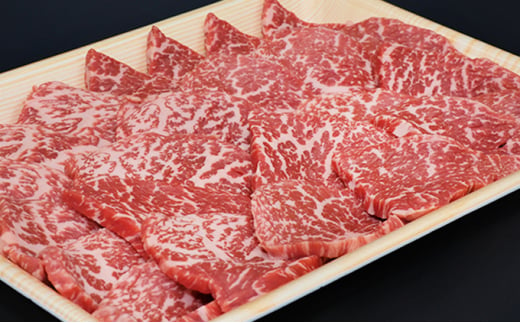 飛騨牛 焼肉 もも肉 赤身  500g A5 和牛 牛肉 ブランド牛 お肉 霜降り モモ モモ肉 焼肉用 バーベキュー BBQ キャンプ アウトドア  炭火