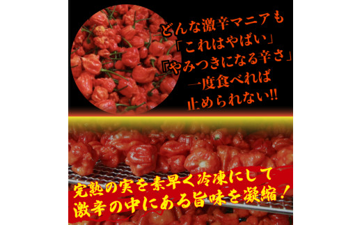 キャロライナリーパーホール 100g 唐辛子 キャロライナリーパー 香味料 冷凍 調味料 スパイス 激辛 徳島県 阿波市