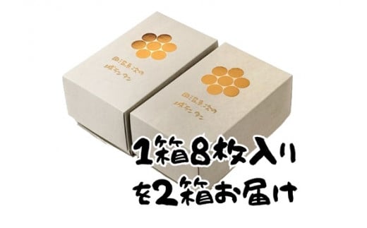 023-43　田沼意次の城ランタン コスモスコーヒー フロランタン 8枚入り×2箱