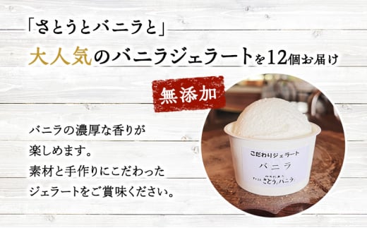 【手作り・無添加】バニラジェラート 100ml×12個入 カップ入り 天然塩 ジェラート 無添加 蔵王 低温殺菌牛乳 バニラビーンズ