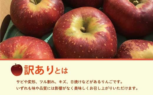 [No.5657-3681]訳あり 秋映 約2.5kg(約7～14玉) 須坂市産《株式会社フルプロ》■2024年発送■※9月中旬頃～10月中旬頃まで順次発送予定