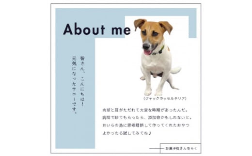 ＜2袋＞犬用ハマチップス50g×2　グルテンフリー&添加物不使用　アレルギーにお悩みの愛犬に【1496465】