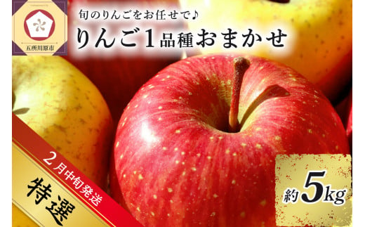 【2025年2月中旬発送】 【特選】 旬の美味しい りんご 約5kg 青森産 【おまかせ1品種】