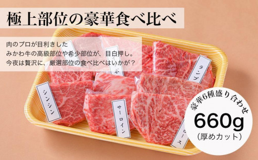 【みかわ牛】肉屋厳選極上部位6種　660ｇ